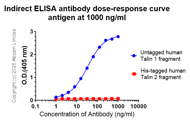 Indirect ELISA - Anti-Talin 1 antibody [EPR29641-30] - BSA and Azide free (AB327430)