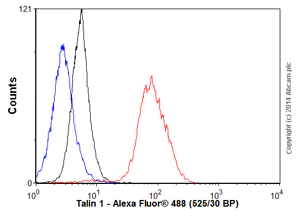 Flow Cytometry (Intracellular) - Anti-Talin antibody [8D4] (AB157808)