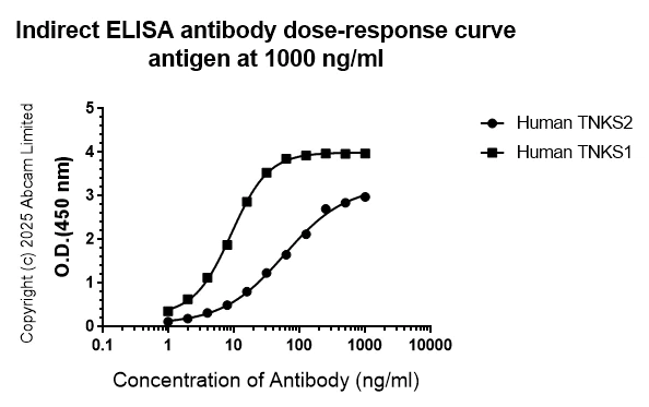 Indirect ELISA - Anti-Tankyrase 1/2 antibody [EPR29643-577] (AB324738)
