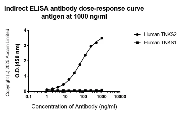 Indirect ELISA - Anti-Tankyrase 2/TNKS2 antibody [EPR29643-524] - BSA and Azide free (AB326076)
