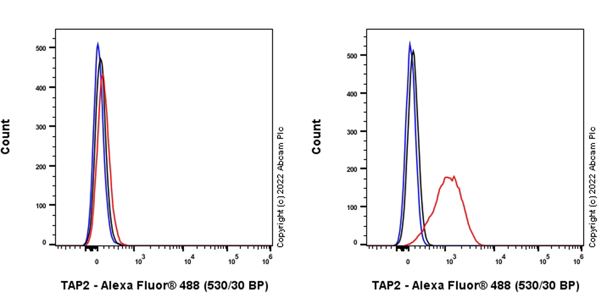 Flow Cytometry (Intracellular) - Anti-TAP2 antibody [EPR26237-82] (ab307282), expandable thumbnail