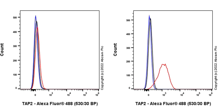 Flow Cytometry (Intracellular) - Anti-TAP2 antibody [EPR26237-82] - BSA and Azide free (AB307283)
