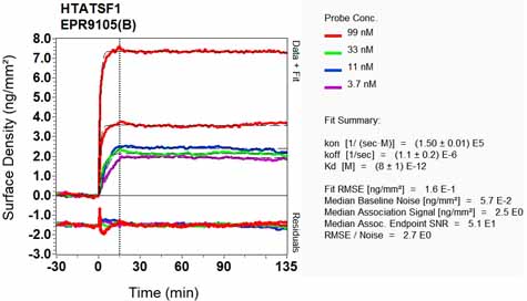 OI-RD Scanning - Anti-Tat-SF1 antibody [EPR9105(B)] (ab134921), expandable thumbnail