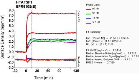 OI-RD Scanning - Anti-Tat-SF1 antibody [EPR9105(B)] - BSA and Azide free (AB248731)