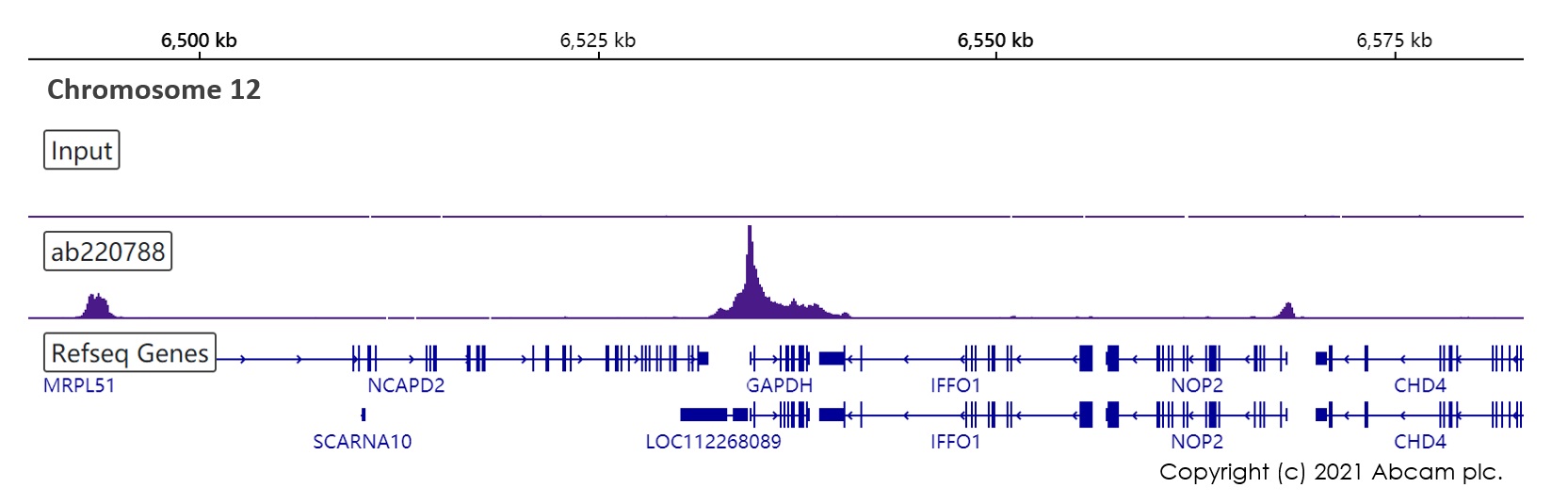 ChIP-sequencing - Anti-TATA binding protein TBP antibody [EPR21954] - Loading Control and ChIP Grade (AB220788), expandable thumbnail