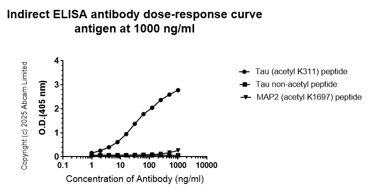 Indirect ELISA - Anti-Tau (acetyl K311) antibody [EPR29545-504] (AB324728)