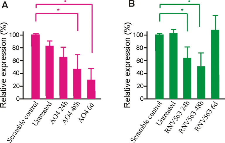 TAU様確認ページ Anti-Tau Alzheimer's Disease 抗体 [GT-38] - Conformation