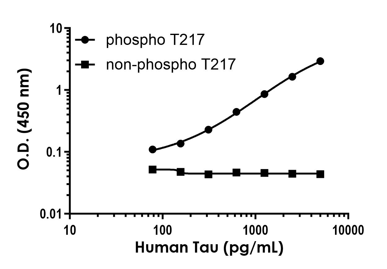 Sandwich ELISA - Anti-Tau antibody [EPR23025-104] - BSA and Azide free (Detector) (AB314559), expandable thumbnail