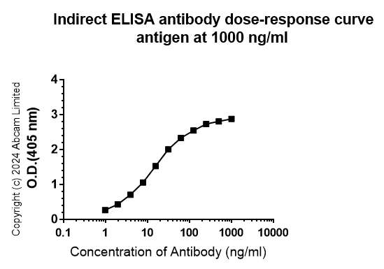 Indirect ELISA - Anti-Tau antibody [SP70] - BSA and Azide free (AB236219)