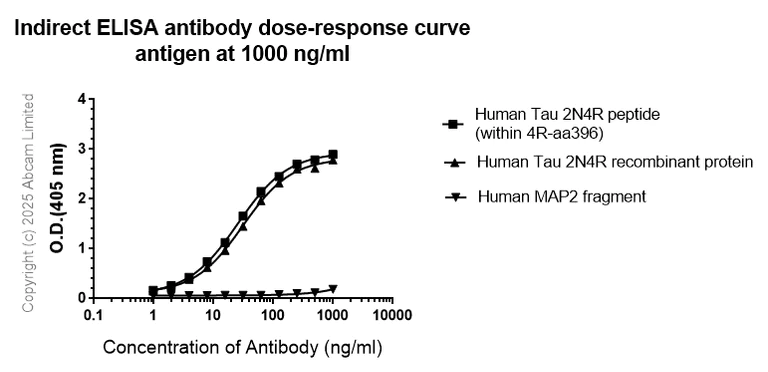 Indirect ELISA - Anti-Tau - C-terminal (4R-aa396) antibody [EPR29542-63] - BSA and Azide free (AB324110)