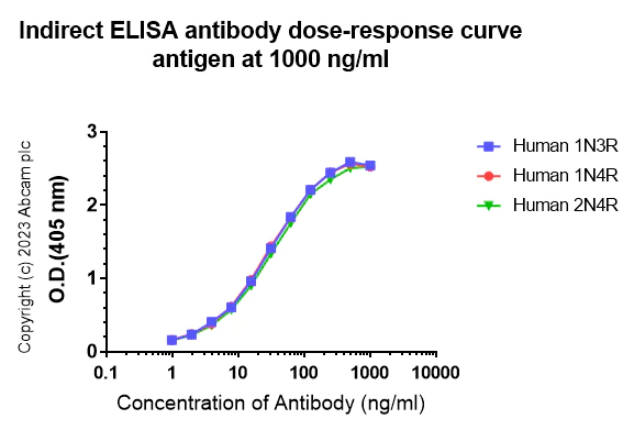 Indirect ELISA - Anti-Tau - C-terminal antibody [EPR28785-33] - BSA and Azide free (AB316122)