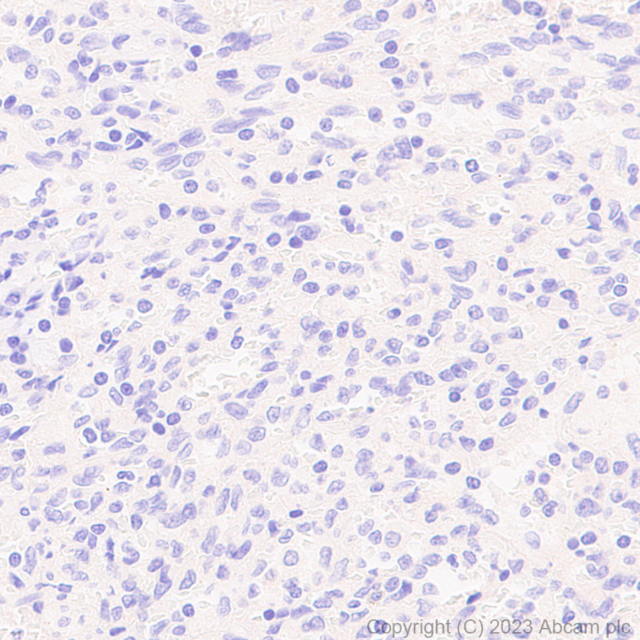 Immunohistochemistry (Formalin/PFA-fixed paraffin-embedded sections) - Anti-Tau (MBD region) antibody [EPR25205-233] - BSA and Azide free (ab308440), expandable thumbnail