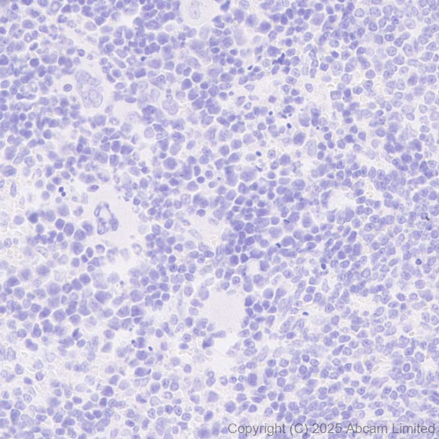 Immunohistochemistry (Formalin/PFA-fixed paraffin-embedded sections) - Anti-Tau (N-terminal) antibody [EPR29521-8] (ab324236), expandable thumbnail
