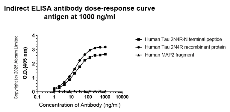 Indirect ELISA - Anti-Tau (N-terminal) antibody [EPR29521-8] (AB324236)