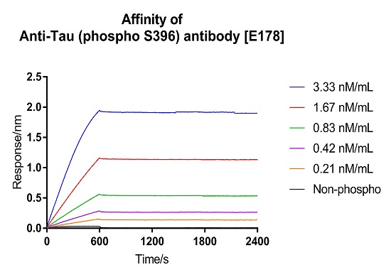 Affinity Purification - Anti-Tau (phospho S396) antibody [E178] (ab32057), expandable thumbnail