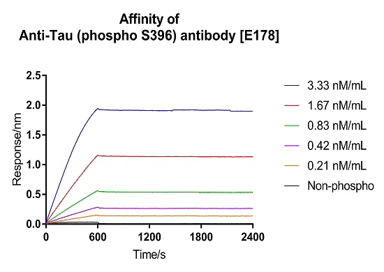 Affinity Purification - Anti-Tau (phospho S396) antibody [E178] (AB32057)