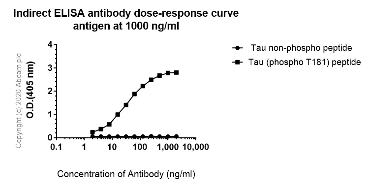 Indirect ELISA - Anti-Tau (phospho T181) antibody [EPR23506-107] - BSA and Azide free (AB277644)
