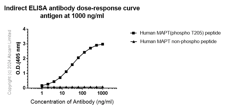 Indirect ELISA - Anti-Tau (phospho T205) antibody [EPR23505-13] - BSA and Azide free (AB275027)
