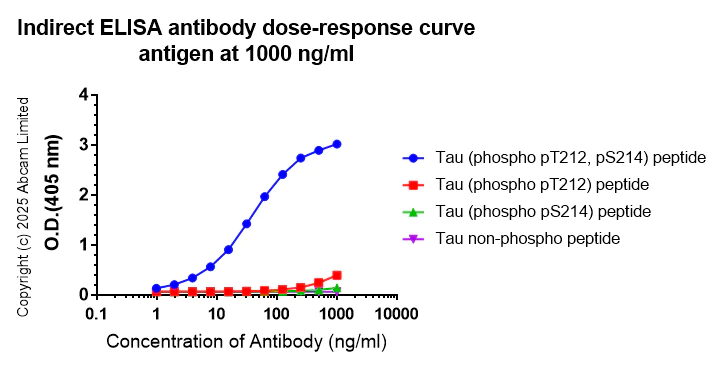 Indirect ELISA - Anti-Tau (phospho T212 + S214) antibody [EPR27523-252] (AB324015)