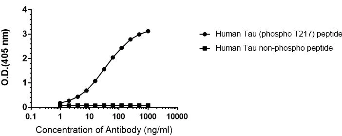 Indirect ELISA - Anti-Tau (phospho T217) antibody [EPR24654-24] - BSA and Azide free (AB288167)