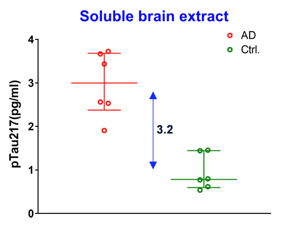 Sandwich ELISA - Anti-Tau (phospho T217) antibody [EPR24654-24] - BSA and Azide free (AB288167)