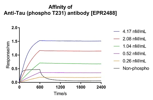 Affinity Purification - Anti-Tau (phospho T231) antibody [EPR2488] (AB151559)