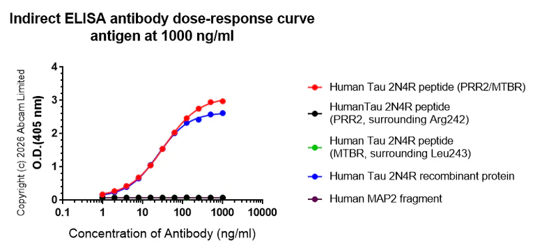 Indirect ELISA - Anti-Tau (PRR2/MTBR) antibody [EPR29541-92] - BSA and Azide free (AB327388)