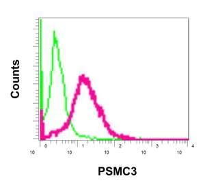 Flow Cytometry (Intracellular) - Anti-TBP-1 antibody [EPR12152] - BSA and Azide free (AB249681)