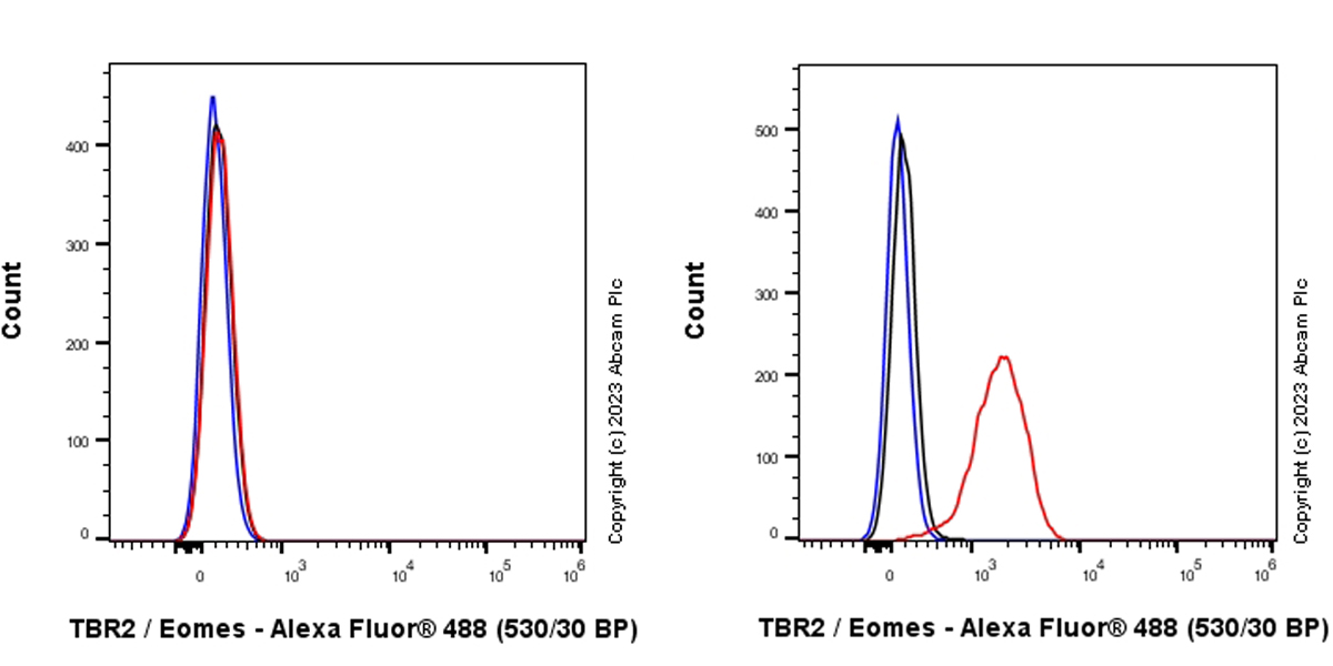 Flow Cytometry (Intracellular) - Anti-TBR2 / Eomes antibody [EPR26474-17] (ab315794), expandable thumbnail