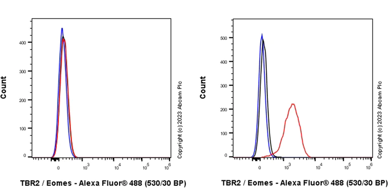 Flow Cytometry (Intracellular) - Anti-TBR2 / Eomes antibody [EPR26474-17] (AB315794)
