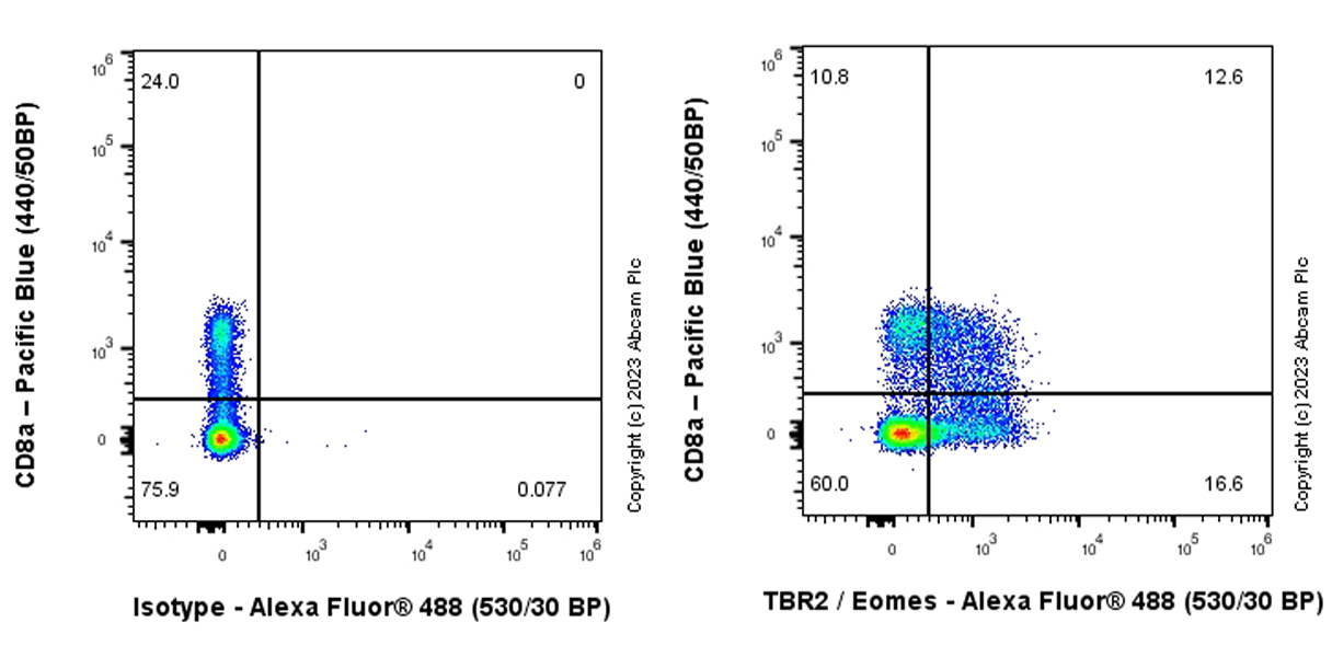 Flow Cytometry (Intracellular) - Anti-TBR2 / Eomes antibody [EPR26474-17] (ab315794), expandable thumbnail