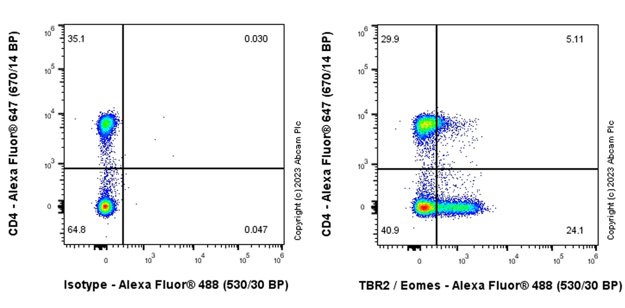 Flow Cytometry (Intracellular) - Anti-TBR2 / Eomes antibody [EPR26474-17] (ab315794), expandable thumbnail