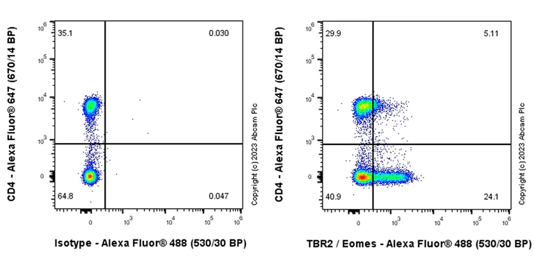Flow Cytometry (Intracellular) - Anti-TBR2 / Eomes antibody [EPR26474-17] (AB315794)