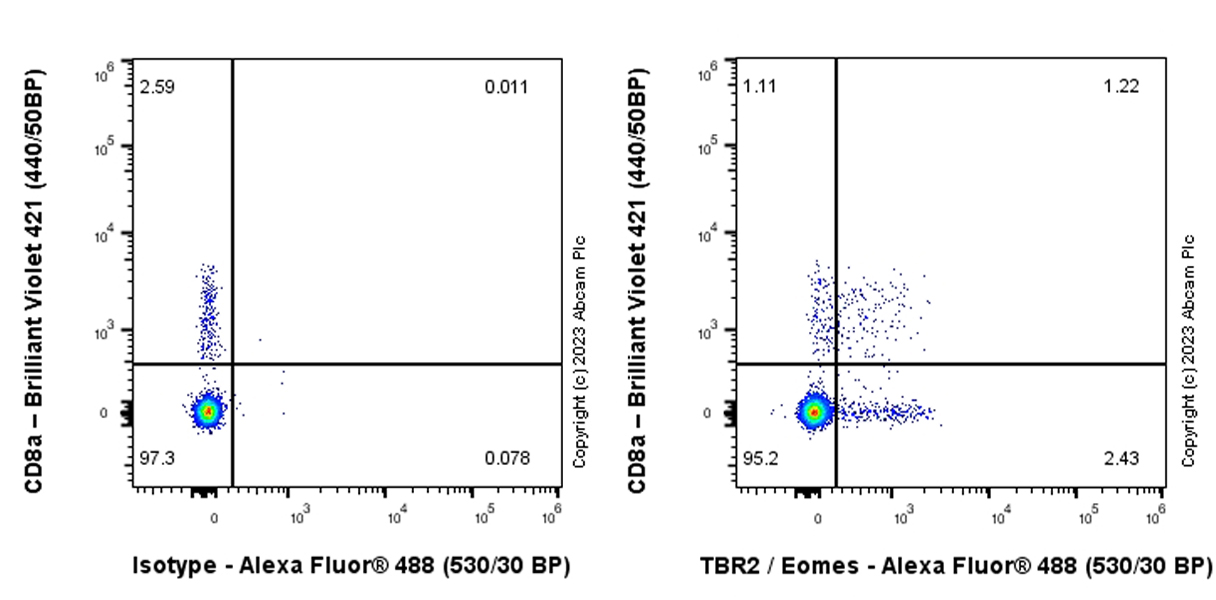 Flow Cytometry (Intracellular) - Anti-TBR2 / Eomes antibody [EPR26474-17] (AB315794), expandable thumbnail