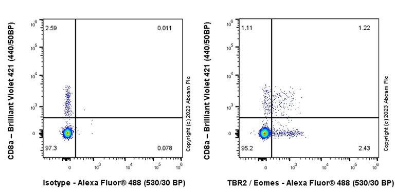 Flow Cytometry (Intracellular) - Anti-TBR2 / Eomes antibody [EPR26474-17] (AB315794)