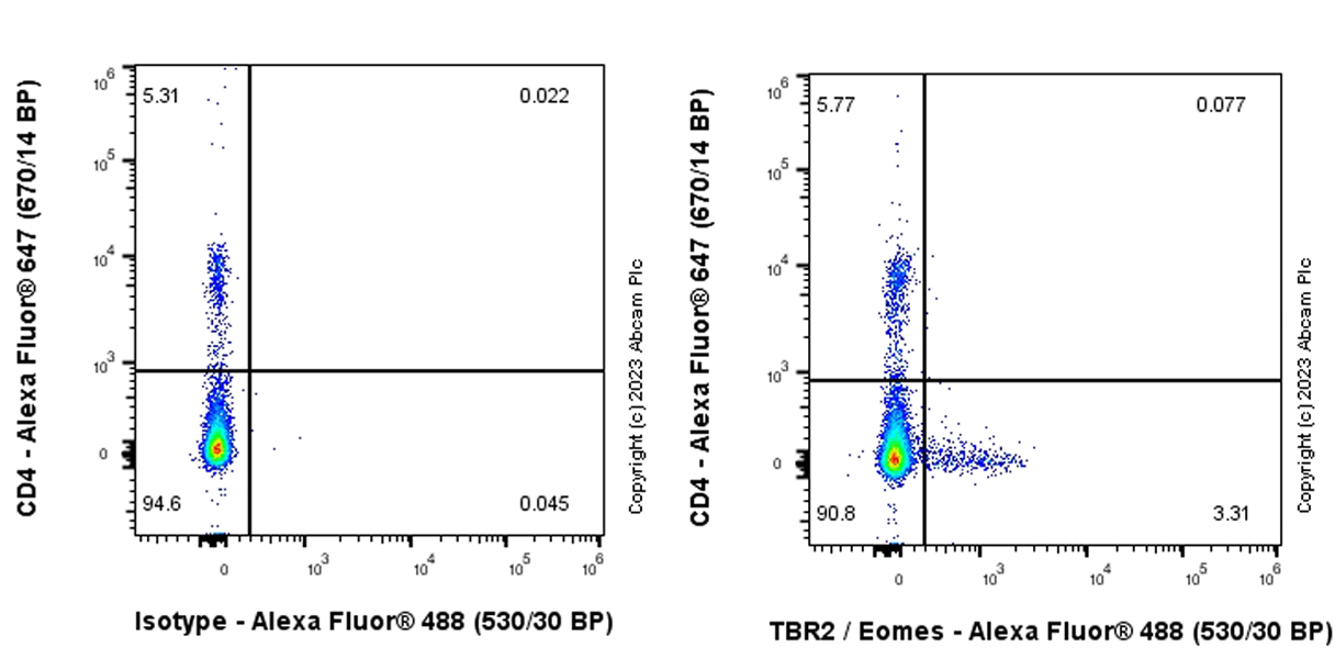 Flow Cytometry (Intracellular) - Anti-TBR2 / Eomes antibody [EPR26474-17] (AB315794), expandable thumbnail