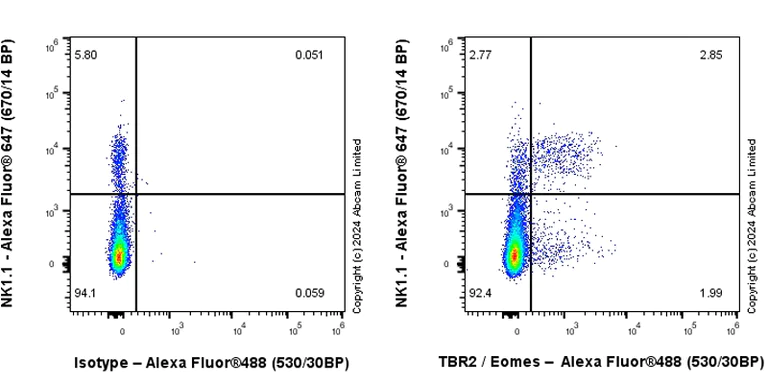 Flow Cytometry (Intracellular) - Anti-TBR2 / Eomes antibody [RM2055] (AB319166)