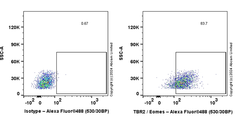 Flow Cytometry (Intracellular) - Anti-TBR2 / Eomes antibody [RM2055] - BSA and Azide free (ab319167), expandable thumbnail