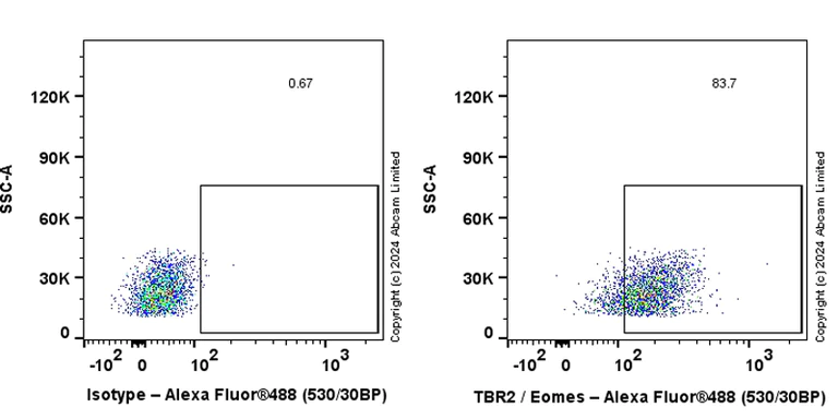Flow Cytometry (Intracellular) - Anti-TBR2 / Eomes antibody [RM2055] - BSA and Azide free (AB319167)