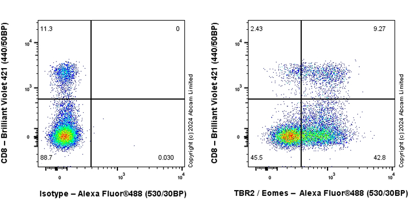 Flow Cytometry (Intracellular) - Anti-TBR2 / Eomes antibody [RM2055] - BSA and Azide free (ab319167), expandable thumbnail