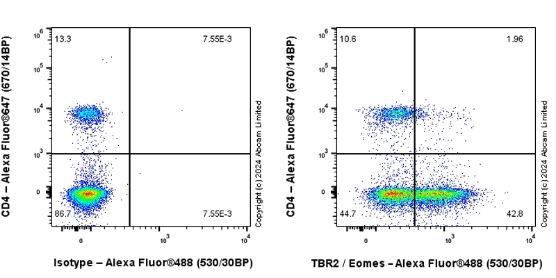 Flow Cytometry (Intracellular) - Anti-TBR2 / Eomes antibody [RM2055] - BSA and Azide free (ab319167), expandable thumbnail