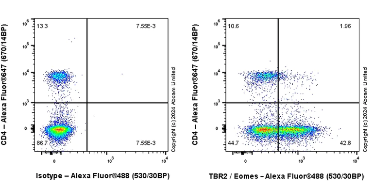 Flow Cytometry (Intracellular) - Anti-TBR2 / Eomes antibody [RM2055] - BSA and Azide free (AB319167)