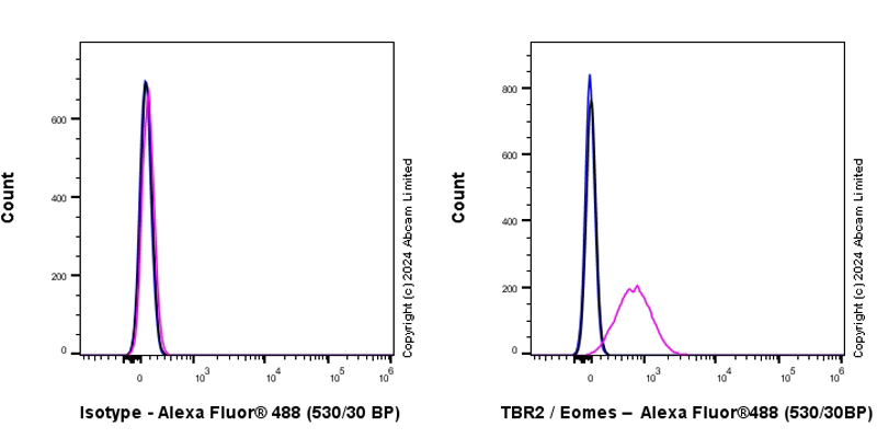 Flow Cytometry (Intracellular) - Anti-TBR2 / Eomes antibody [RM2055] - BSA and Azide free (ab319167), expandable thumbnail