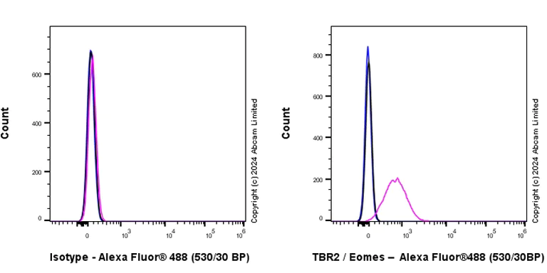 Flow Cytometry (Intracellular) - Anti-TBR2 / Eomes antibody [RM2055] - BSA and Azide free (AB319167)