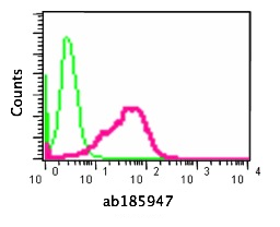 Flow Cytometry (Intracellular) - Anti-TCEA1 + TCEA2 + TCEA3 antibody [EPR14821] (ab185947), expandable thumbnail