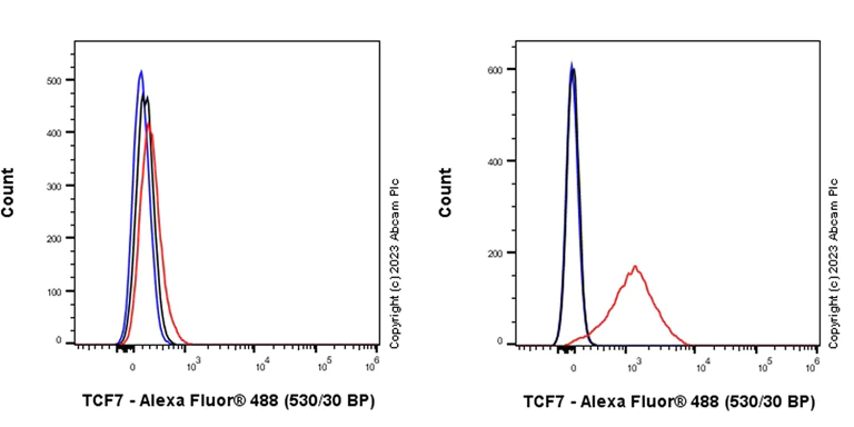 Flow Cytometry (Intracellular) - Anti-TCF7 antibody [EPR28579-32] (AB315390)