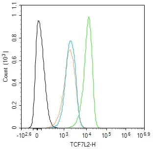 Flow Cytometry - Anti-TCF7L2 antibody [2C2] (AB326709)