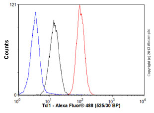 Anti-Tcl1 antibody [EPR3949]