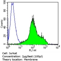 Flow Cytometry - Anti-TCR beta F1 antibody [8A3] (AB171088)