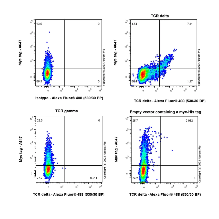 Flow Cytometry - Anti-TCR delta antibody [EPR27043-16] (AB313573)